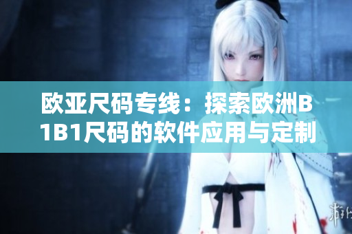 欧亚尺码专线：探索欧洲B1B1尺码的软件应用与定制能力
