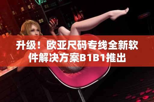 升级！欧亚尺码专线全新软件解决方案B1B1推出