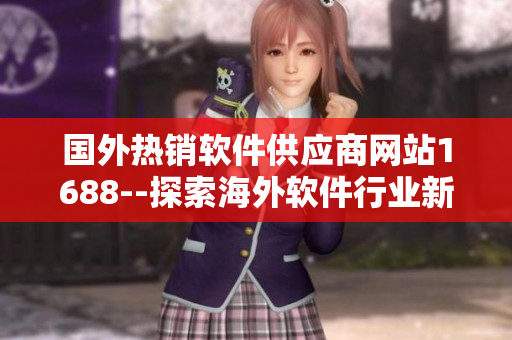 国外热销软件供应商网站1688--探索海外软件行业新趋势