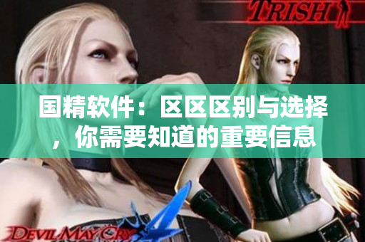 国精软件：区区区别与选择，你需要知道的重要信息
