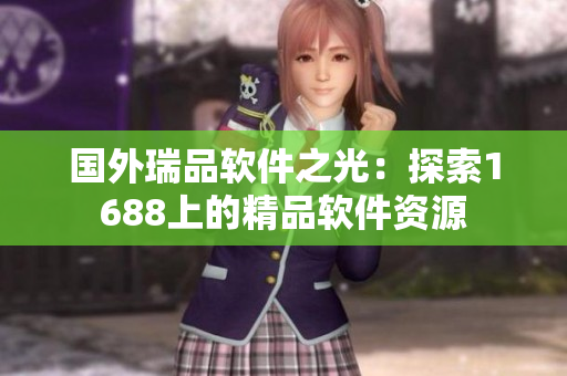 国外瑞品软件之光：探索1688上的精品软件资源