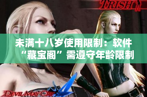 未满十八岁使用限制：软件“藏宝阁”需遵守年龄限制