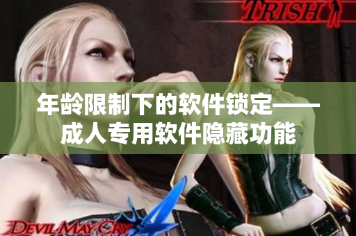 年龄限制下的软件锁定——成人专用软件隐藏功能