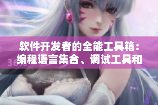 软件开发者的全能工具箱：编程语言集合、调试工具和部署程序的终极包装盒