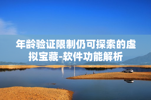 年龄验证限制仍可探索的虚拟宝藏-软件功能解析