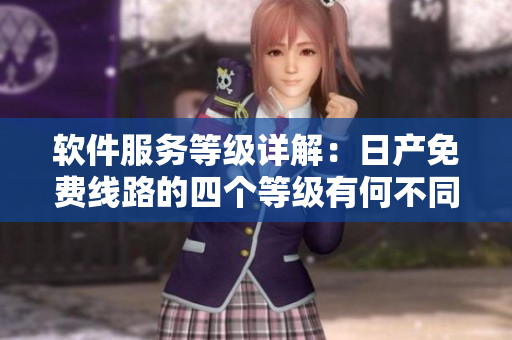 软件服务等级详解：日产免费线路的四个等级有何不同？