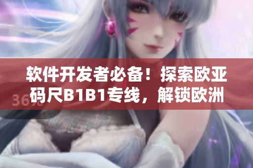 软件开发者必备！探索欧亚码尺B1B1专线，解锁欧洲尺码秘籍
