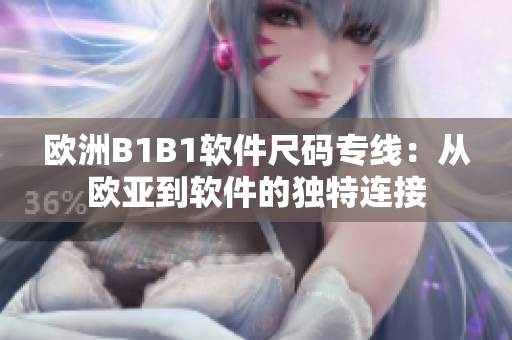 欧洲B1B1软件尺码专线：从欧亚到软件的独特连接