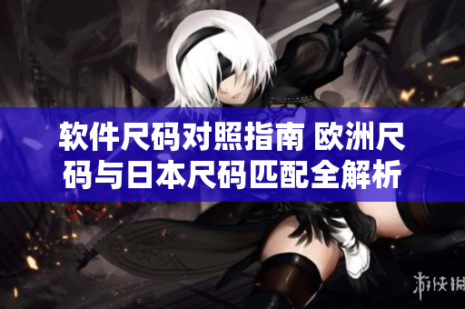软件尺码对照指南 欧洲尺码与日本尺码匹配全解析