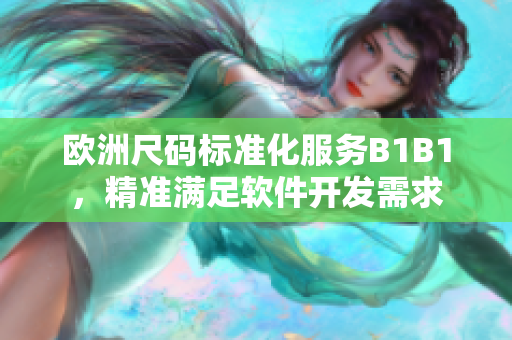 欧洲尺码标准化服务B1B1，精准满足软件开发需求