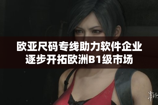 欧亚尺码专线助力软件企业逐步开拓欧洲B1级市场