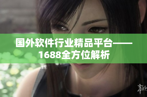 国外软件行业精品平台——1688全方位解析
