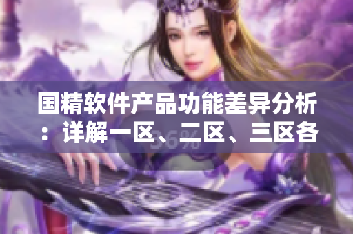 国精软件产品功能差异分析：详解一区、二区、三区各自特点
