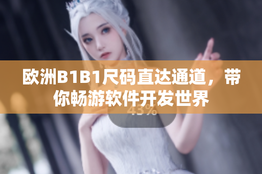 欧洲B1B1尺码直达通道，带你畅游软件开发世界