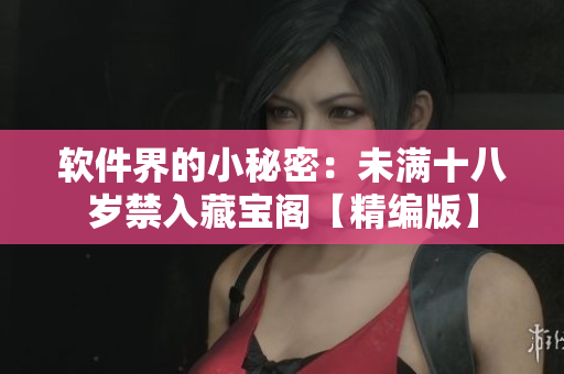 软件界的小秘密：未满十八岁禁入藏宝阁【精编版】