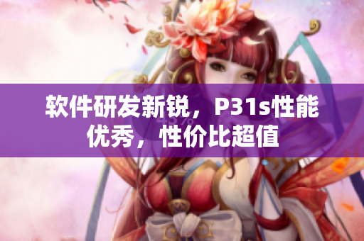 软件研发新锐，P31s性能优秀，性价比超值