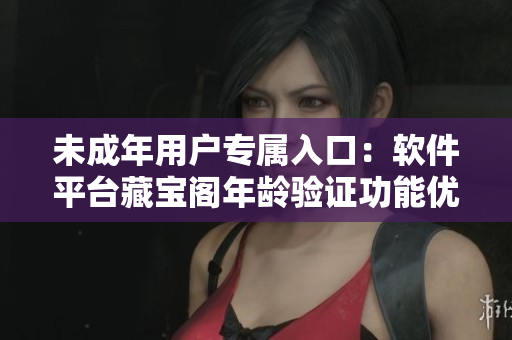 未成年用户专属入口：软件平台藏宝阁年龄验证功能优化