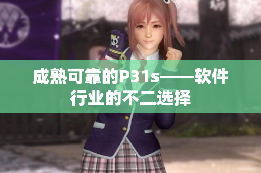 成熟可靠的P31s——软件行业的不二选择