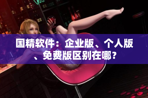 国精软件：企业版、个人版、免费版区别在哪？