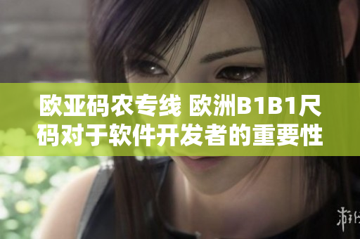 欧亚码农专线 欧洲B1B1尺码对于软件开发者的重要性