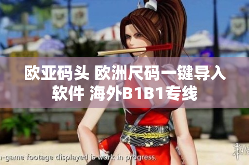 欧亚码头 欧洲尺码一键导入软件 海外B1B1专线