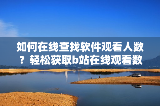 如何在线查找软件观看人数？轻松获取b站在线观看数据