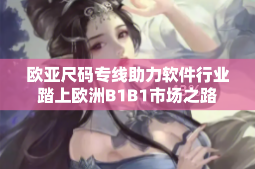 欧亚尺码专线助力软件行业踏上欧洲B1B1市场之路
