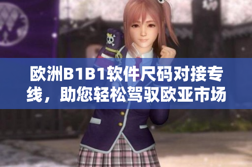 欧洲B1B1软件尺码对接专线，助您轻松驾驭欧亚市场