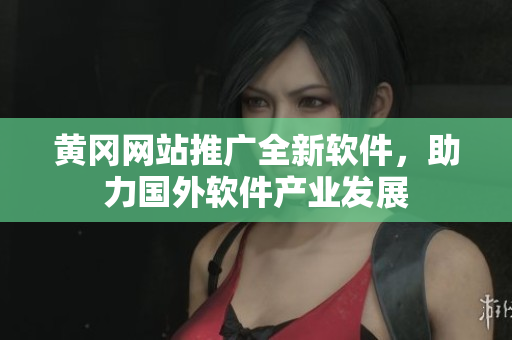 黄冈网站推广全新软件，助力国外软件产业发展