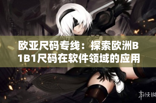 欧亚尺码专线：探索欧洲B1B1尺码在软件领域的应用与适配