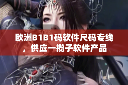 欧洲B1B1码软件尺码专线，供应一揽子软件产品