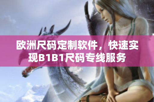 欧洲尺码定制软件，快速实现B1B1尺码专线服务