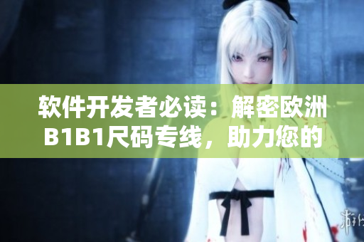 软件开发者必读：解密欧洲B1B1尺码专线，助力您的软件产品走向国际市场