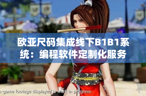 欧亚尺码集成线下B1B1系统：编程软件定制化服务