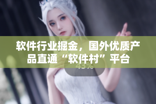 软件行业掘金，国外优质产品直通“软件村”平台