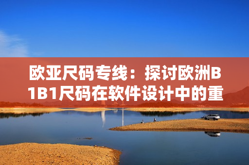 欧亚尺码专线：探讨欧洲B1B1尺码在软件设计中的重要性