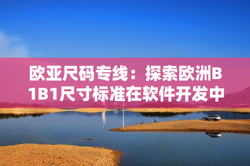 欧亚尺码专线：探索欧洲B1B1尺寸标准在软件开发中的应用