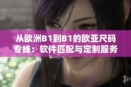 从欧洲B1到B1的欧亚尺码专线：软件匹配与定制服务