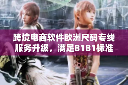 跨境电商软件欧洲尺码专线服务升级，满足B1B1标准需求