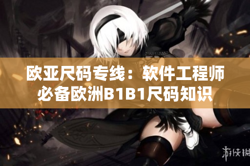欧亚尺码专线：软件工程师必备欧洲B1B1尺码知识