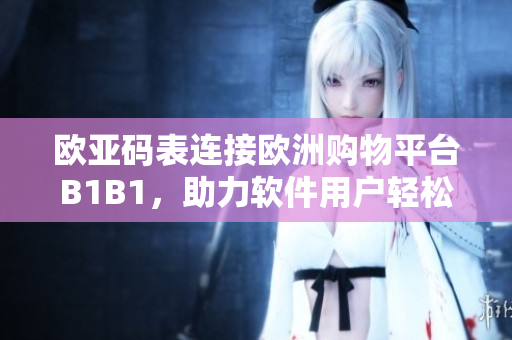 欧亚码表连接欧洲购物平台B1B1，助力软件用户轻松选购