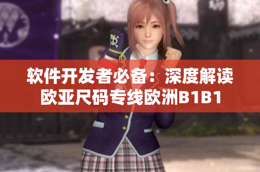 软件开发者必备：深度解读欧亚尺码专线欧洲B1B1