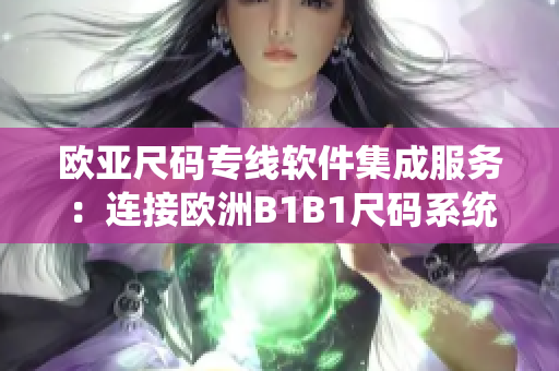 欧亚尺码专线软件集成服务：连接欧洲B1B1尺码系统