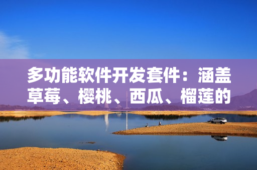 多功能软件开发套件：涵盖草莓、樱桃、西瓜、榴莲的互通包装盒