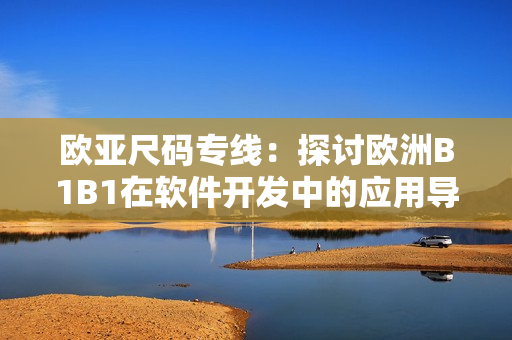 欧亚尺码专线：探讨欧洲B1B1在软件开发中的应用导向