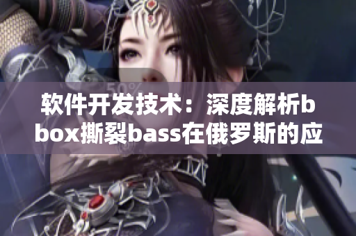软件开发技术：深度解析bbox撕裂bass在俄罗斯的应用领域