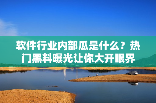 软件行业内部瓜是什么？热门黑料曝光让你大开眼界