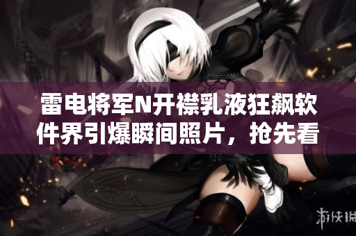 雷电将军N开襟乳液狂飙软件界引爆瞬间照片，抢先看【精品推荐】