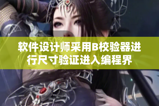 软件设计师采用B校验器进行尺寸验证进入编程界