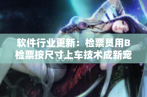 软件行业更新：检票员用B检票按尺寸上车技术成新宠
